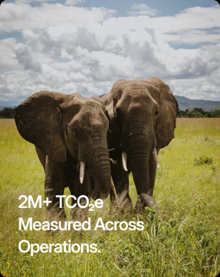2M+ TCO₂e measured across operations